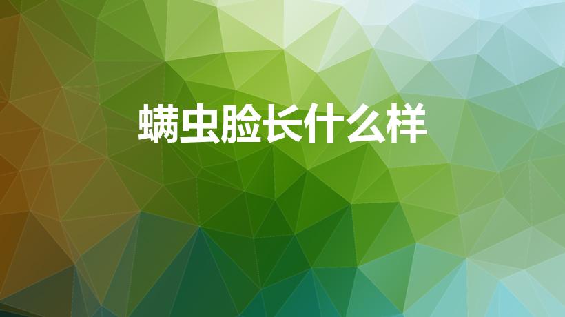 螨虫脸长什么样（怎样辨别脸上是否有螨虫）