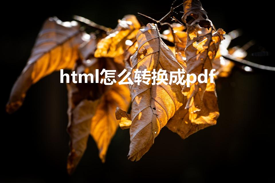 html怎么转换成pdf（怎样将html转换成pdf）