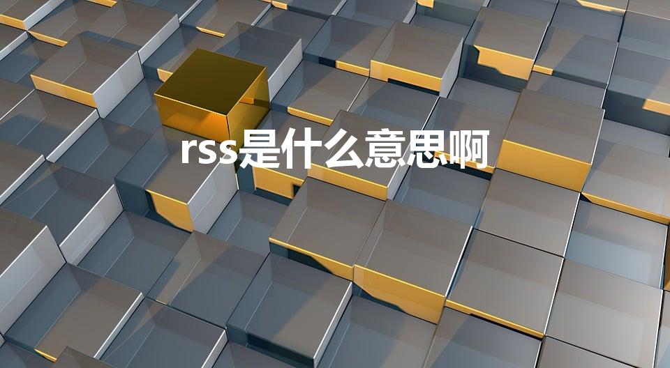 rss是什么意思啊（rss是什么意思）
