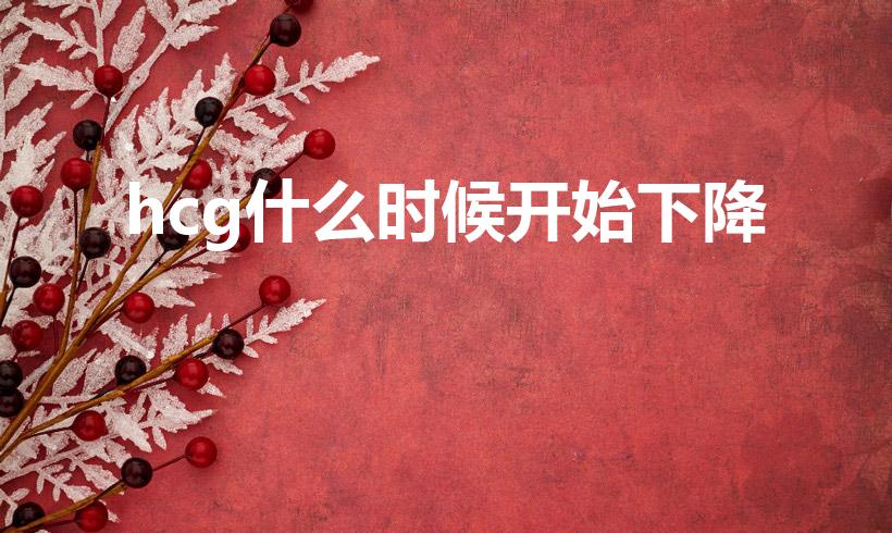 hcg什么时候开始下降（HCG值多少周后开始下降）