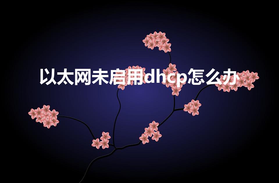 以太网未启用dhcp怎么办