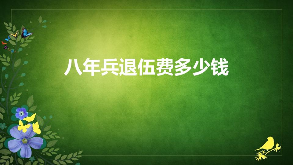 八年兵退伍费多少钱（当兵八年退伍费多少钱）