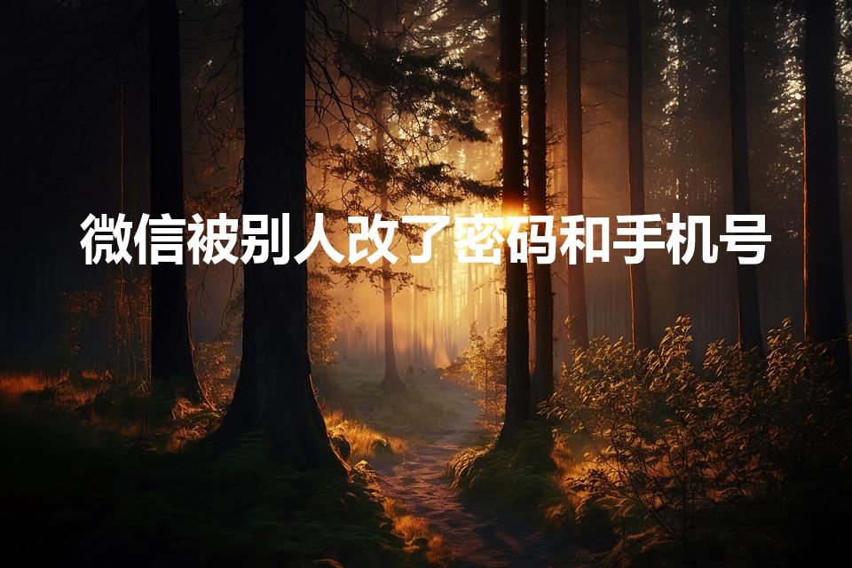 微信被别人改了密码和手机号