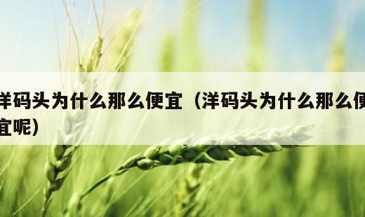 洋码头为什么那么便宜？洋码头为什么那么便宜呢