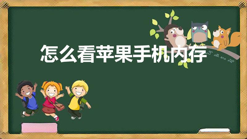 怎么看苹果手机内存（苹果手机怎么查看内存和文件）