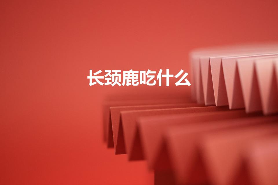 长颈鹿吃什么（长颈鹿吃什么食物）