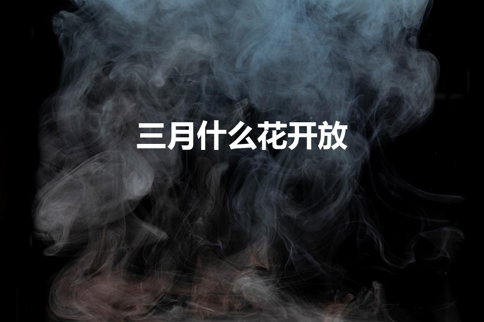 三月什么花开放？介绍三月份开放的花卉品种