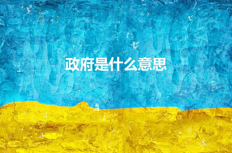 政府是什么意思（政府的含义是什么）