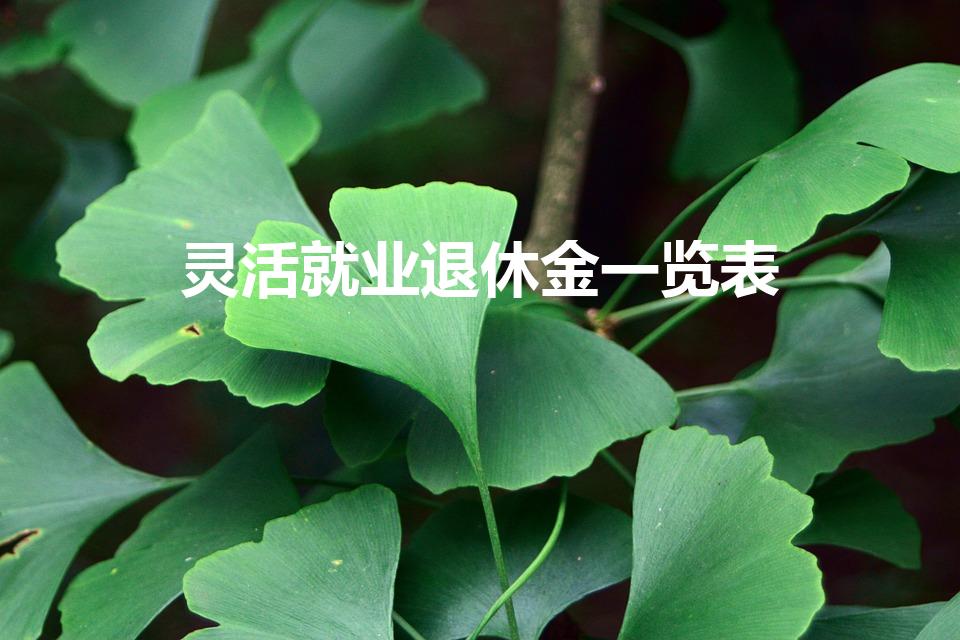灵活就业退休金一览表（灵活就业人员退休金是多少）