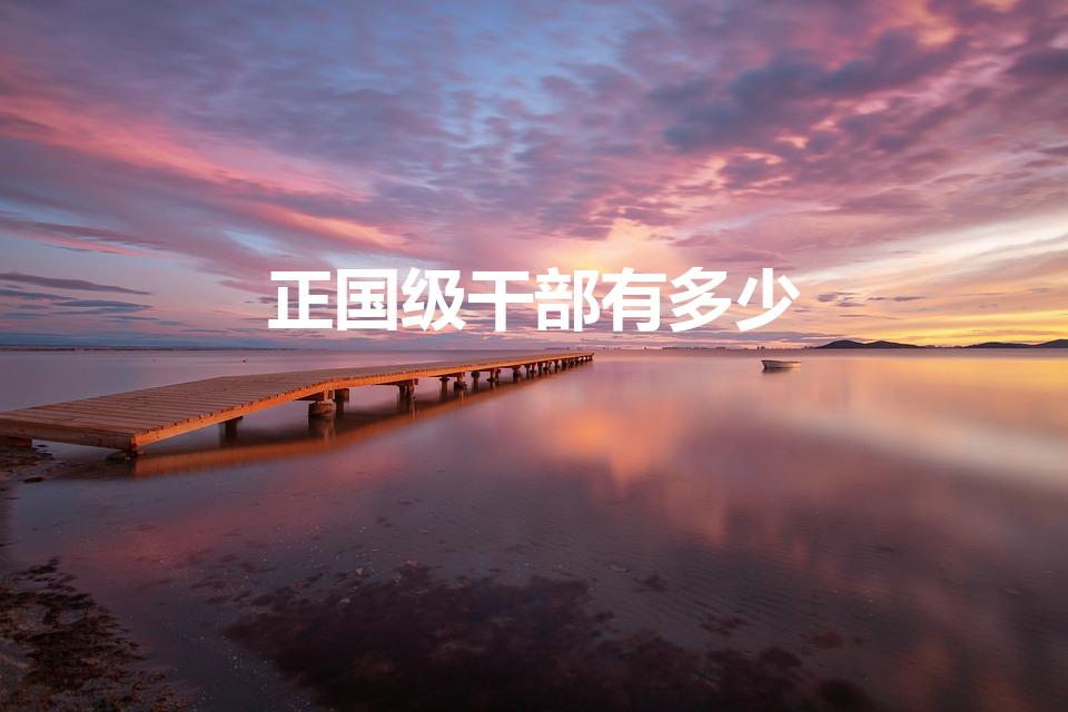 正国级干部有多少（我国有多少正国级干部）