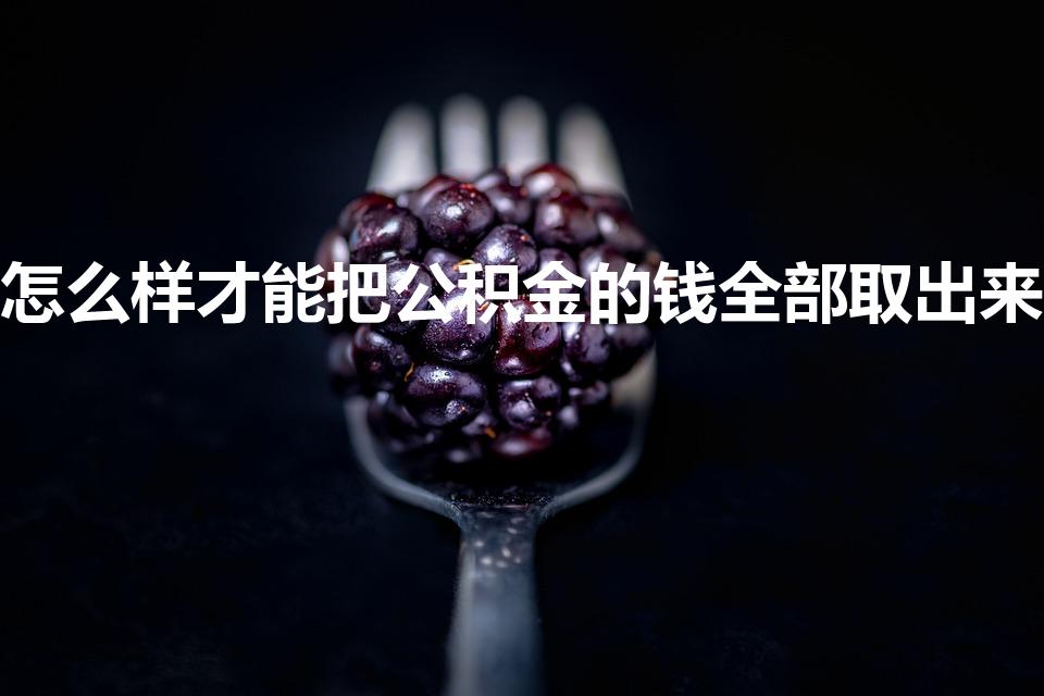 怎么样才能把公积金的钱全部取出来（公积金能全部取出来吗）