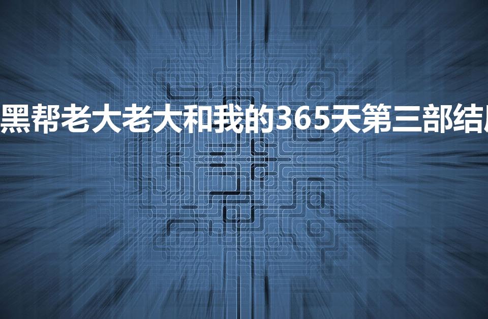 黑帮老大老大和我的365天第三部结局