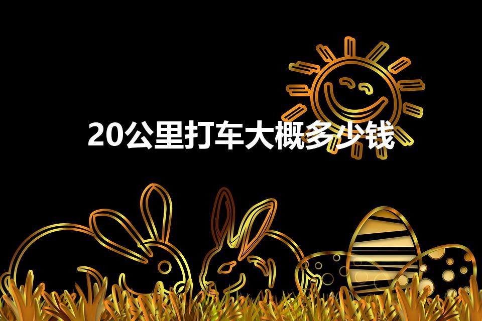 20公里打车大概多少钱（北京20公里打出租车需要多少钱）