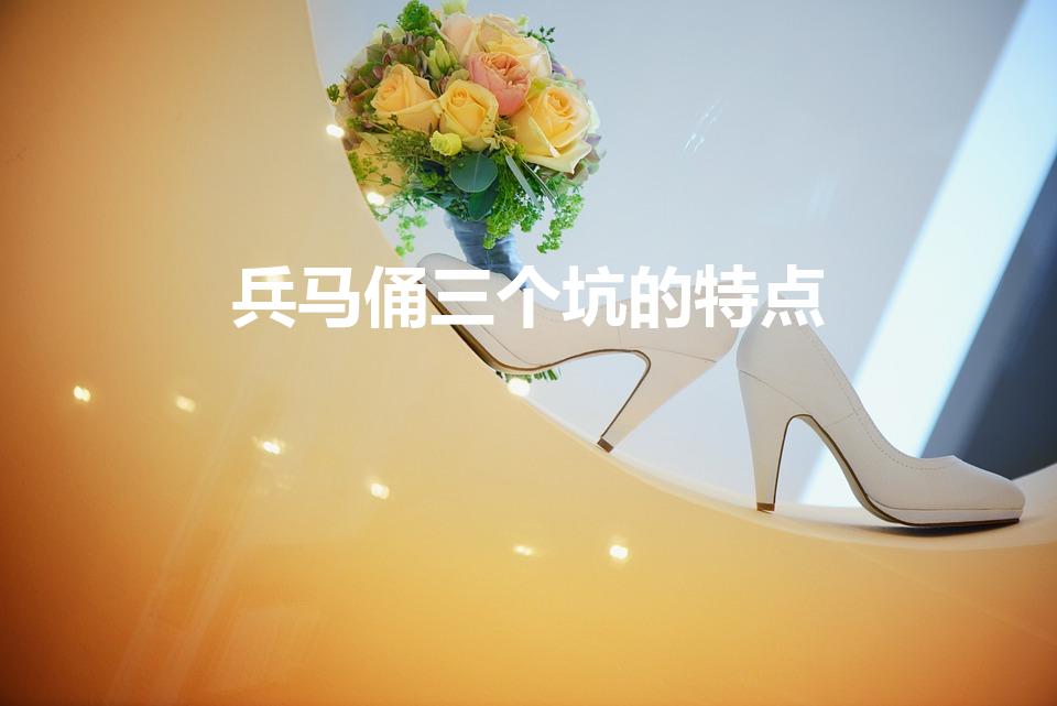 兵马俑三个坑的特点（兵马俑的三个特点）