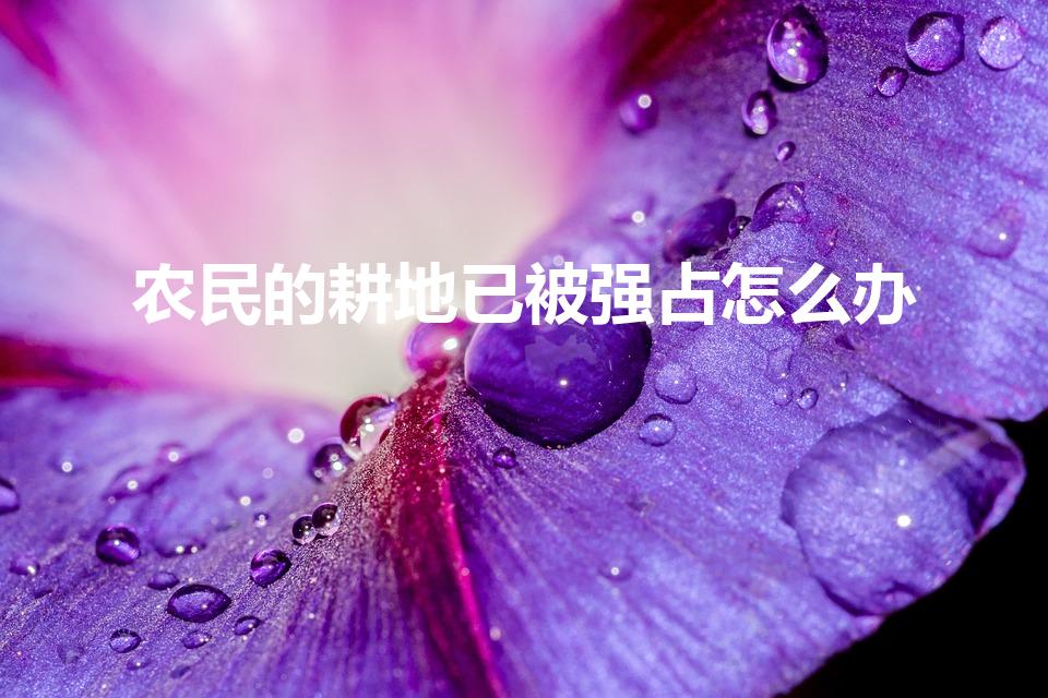 农民的耕地已被强占怎么办（耕种土地被侵占怎么办）
