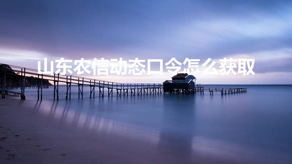 山东农信动态口令怎么获取（手机银行动态口令怎么获取）