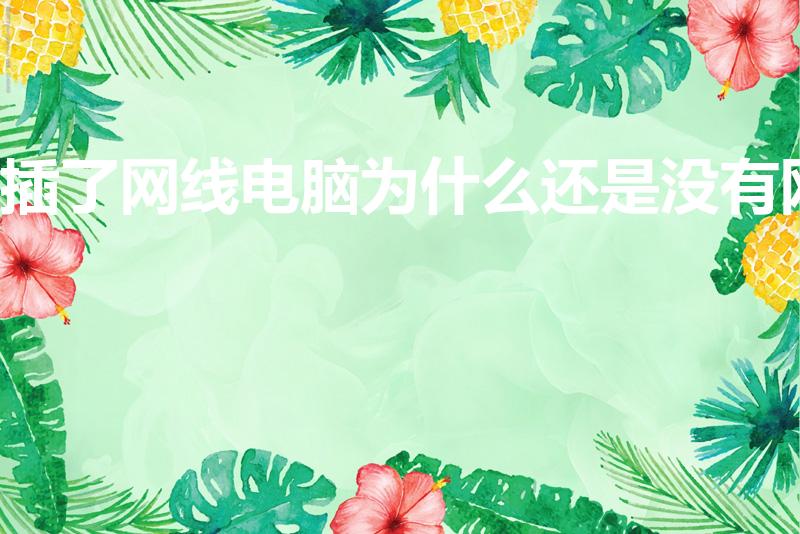 插了网线电脑为什么还是没有网