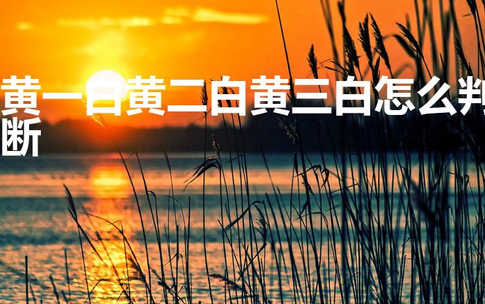 黄一白黄二白黄三白怎么判断（如何判断肤色黄几白几）