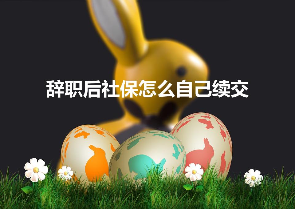 辞职后社保怎么自己续交（辞职后如何自己续交社保）