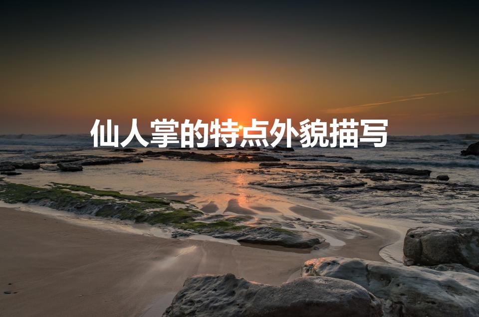 仙人掌的特点外貌描写（仙人掌的外貌描写）