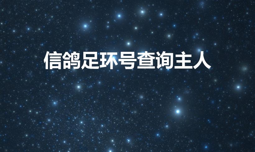 信鸽足环号查询主人（怎样通过足环号找到信鸽主人）