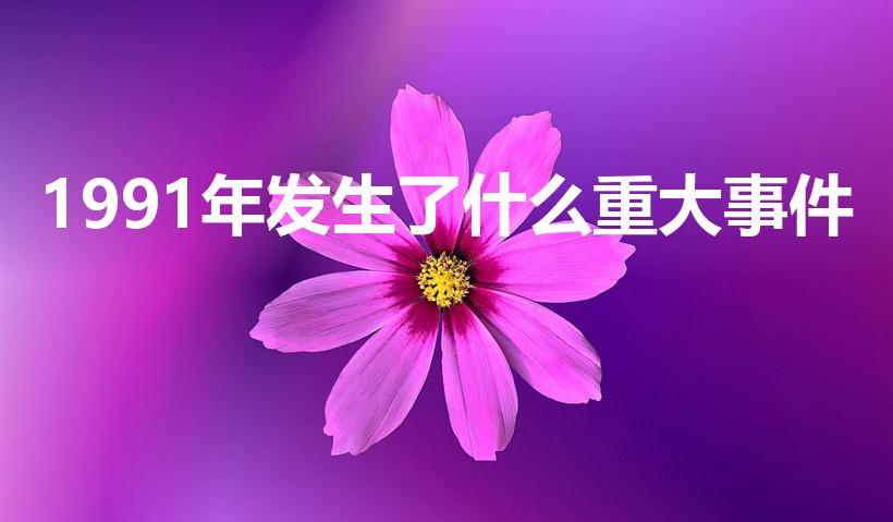 1991年发生了什么重大事件（1991年发生了哪些大事）
