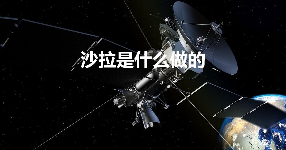 沙拉是什么做的（沙拉是什么做的呢）