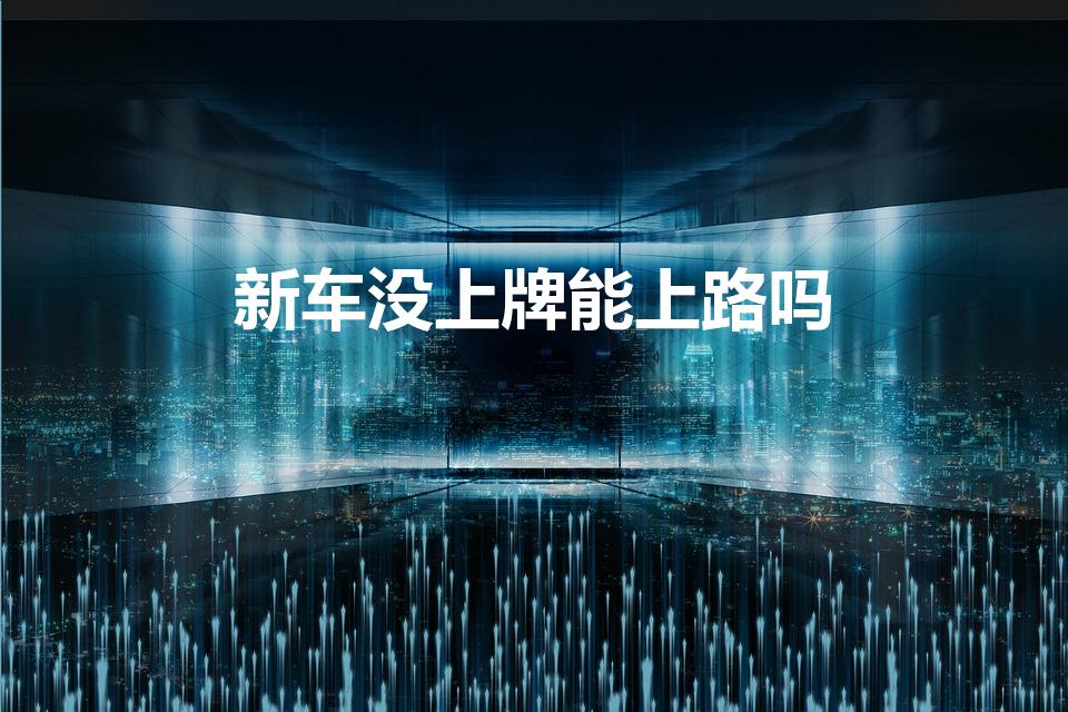 新车没上牌能上路吗（新车没上牌可以上路吗）