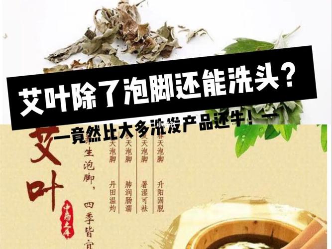 艾草水洗头功效与作用（ 艾草水洗头的功效与用途）