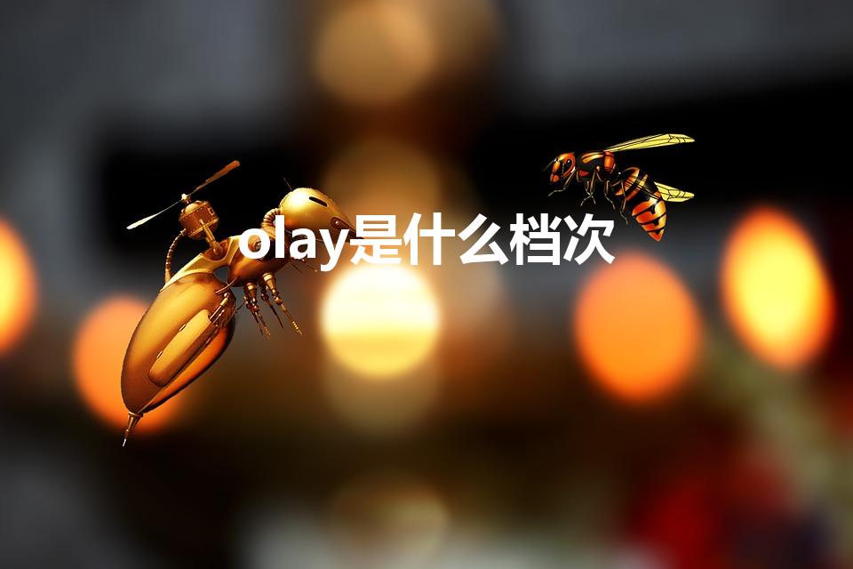 olay是什么档次