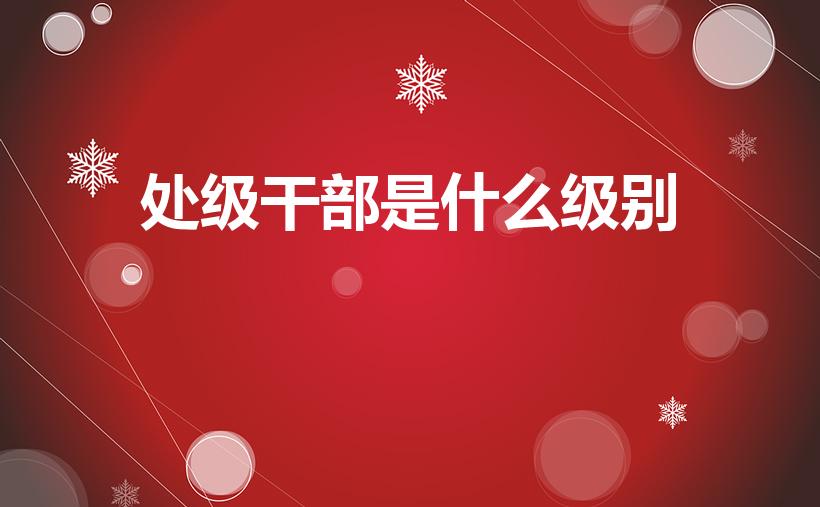 处级干部是什么级别（正处级干部相当于什么官）