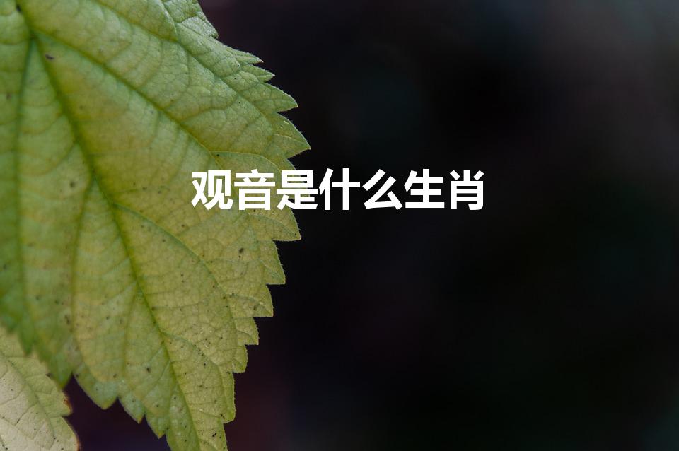 观音是什么生肖（观音是什么生肖化身）