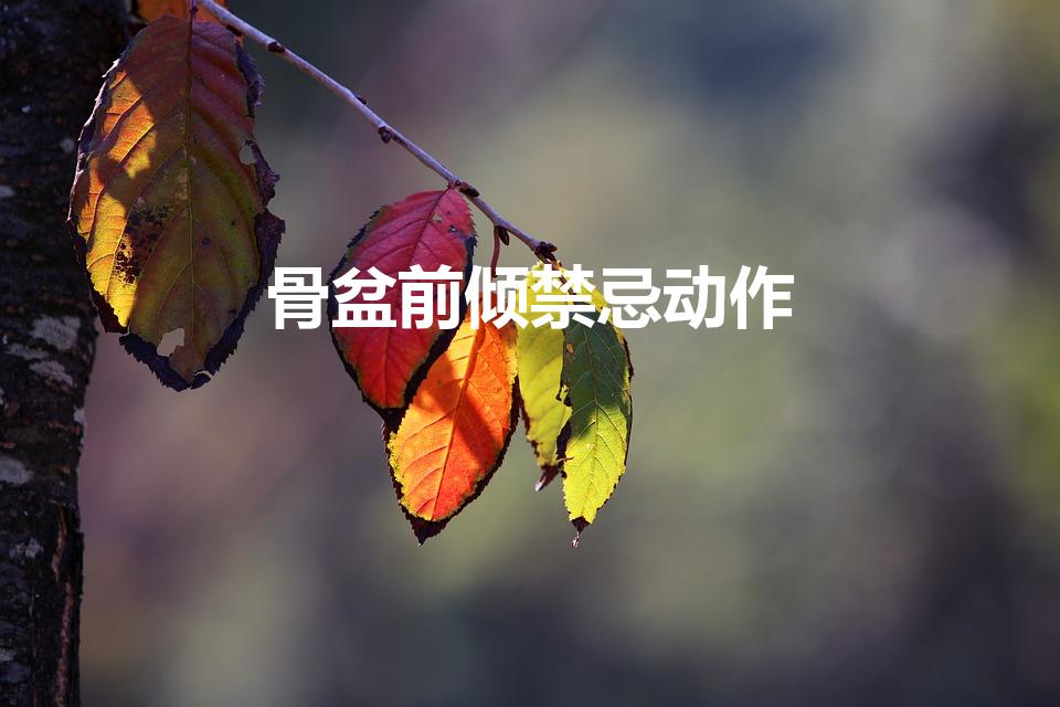 骨盆前倾禁忌动作（骨盆前倾不能做后弯吗）