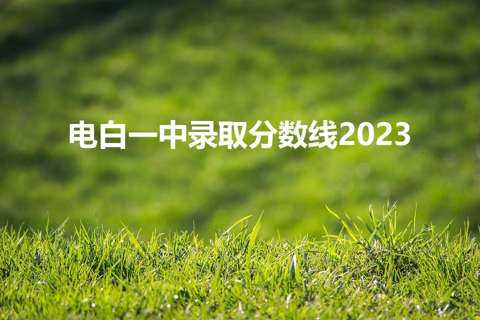 电白一中录取分数线2023(惠州市高中录取分数线)