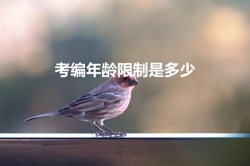 考编年龄限制是多少（教师编制有年龄限制吗）