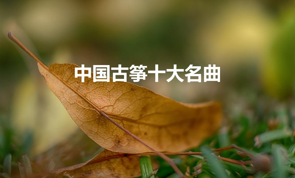 中国古筝十大名曲（古筝十大名曲有哪些）