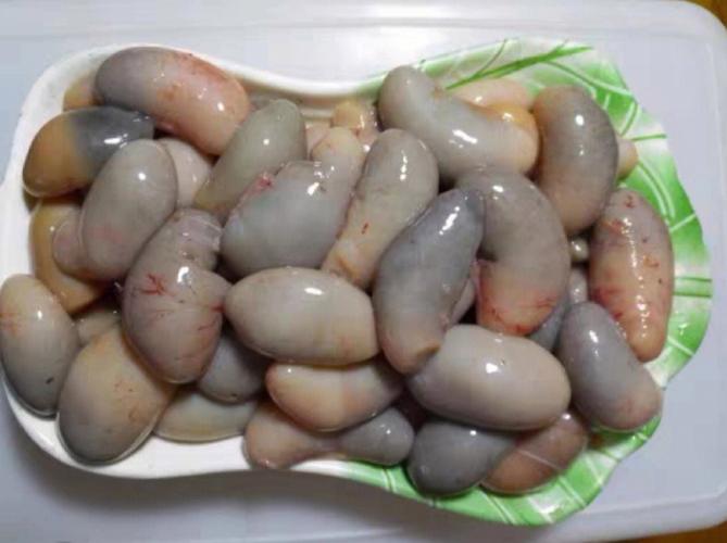 鸡腰子是鸡的什么部位（鸡腰子是哪个部位）