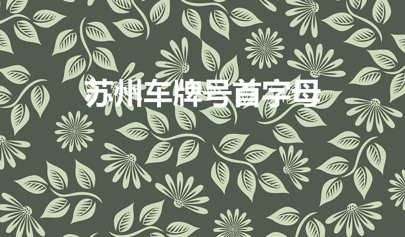 苏州车牌号首字母（江苏各地的车牌号首字母）