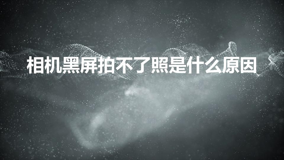 相机黑屏拍不了照是什么原因（手机相机黑屏无法拍照怎么办）