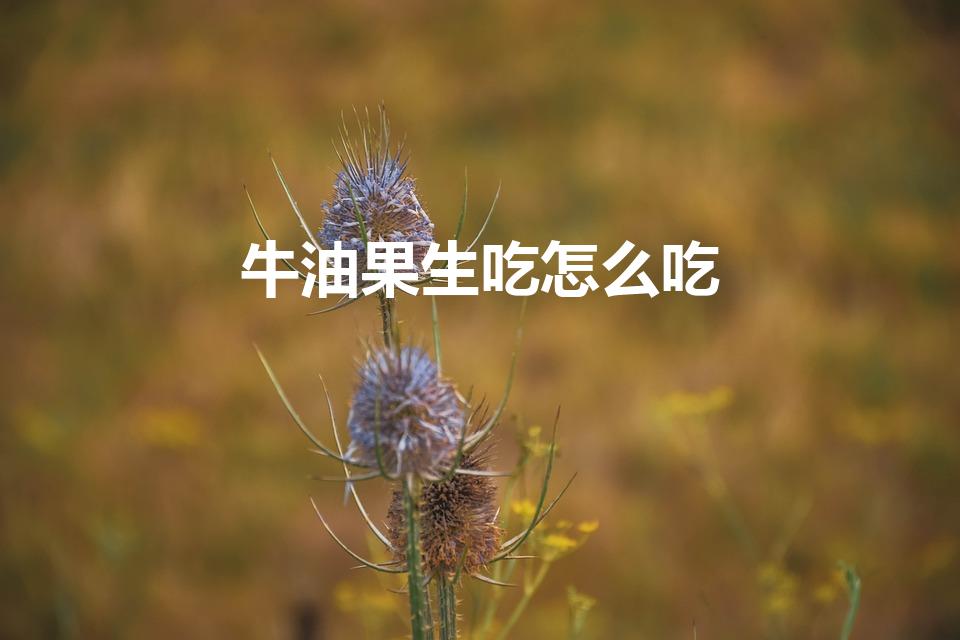 牛油果生吃怎么吃（牛油果最简单的吃法生吃）
