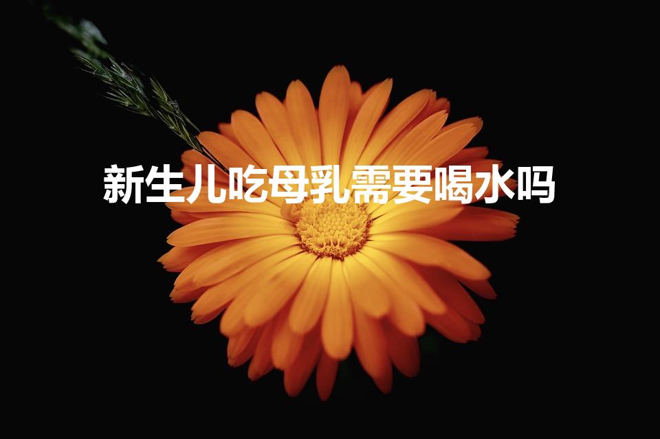 新生儿吃母乳需要喝水吗（母乳喂养的小孩,还需要喂水吗）