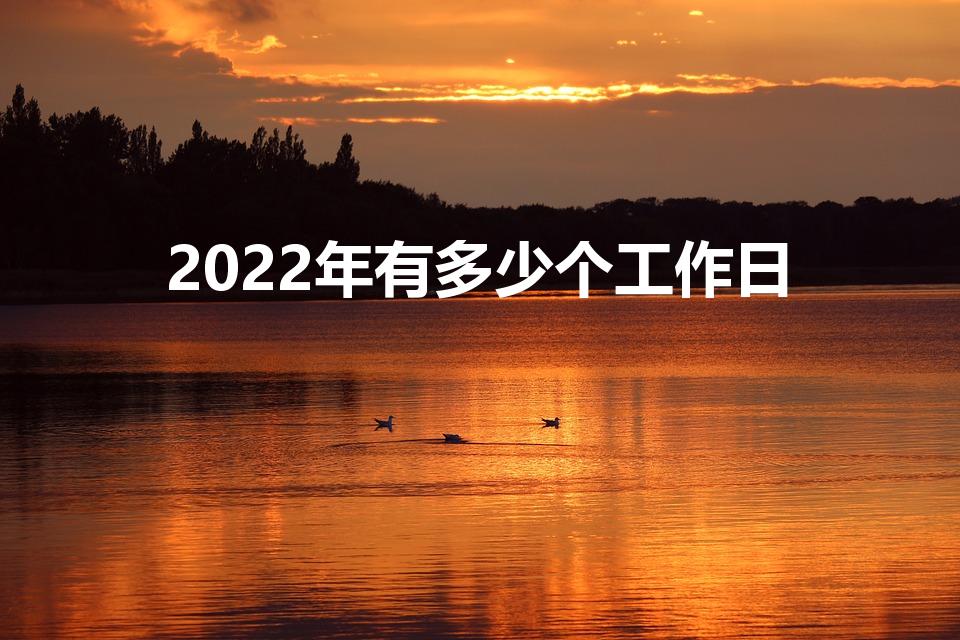 2022年有多少个工作日（2022年工作日是多少天）
