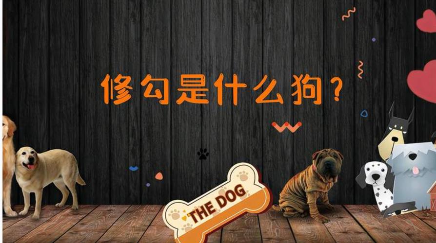 修勾是什么意思（“修勾的含义及社会影响”）