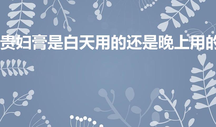 贵妇膏是白天用的还是晚上用的（贵妇膏是白天用还是晚上用）