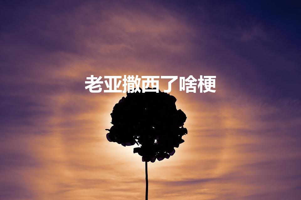 老亚撒西了啥梗（老亚撒西了是什么梗）