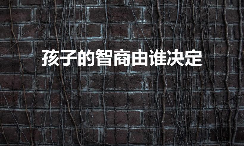 孩子的智商由谁决定（孩子智商性格取决于父亲还是母亲）