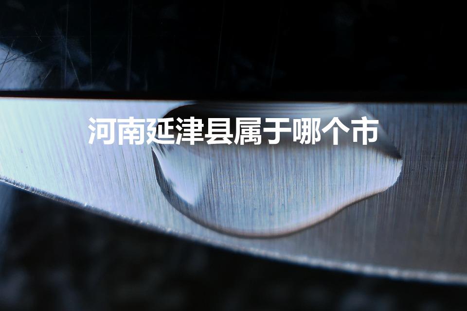 河南延津县属于哪个市（延津县属于哪个省哪个市）