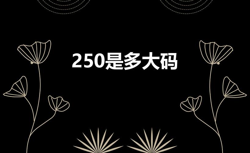 250是多大码（250码的鞋是多大码）