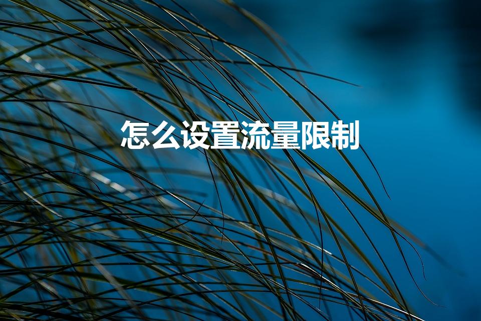 怎么设置流量限制（手机如何设置流量限制）