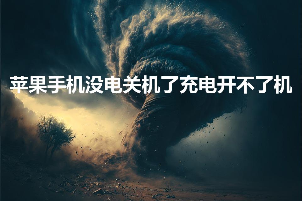 苹果手机没电关机了充电开不了机